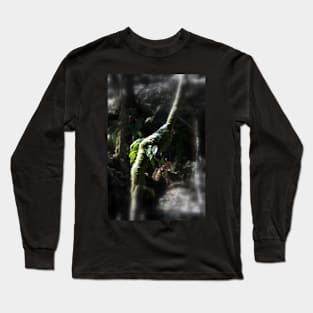 snowy Oregon ferns in trees 2 Long Sleeve T-Shirt